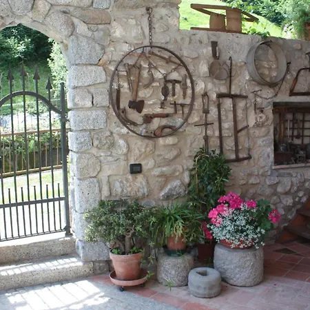 Il Giardino Degli Elfi *