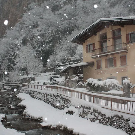 Il Giardino Degli Elfi *